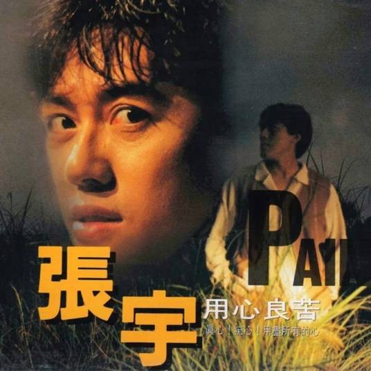 情有独钟（1993年张宇演唱的歌曲）