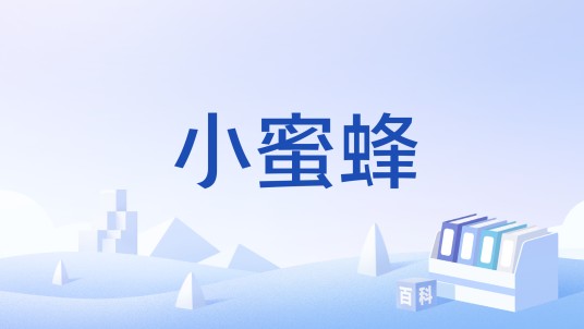 小蜜蜂（酒吧气氛协调员俗称）