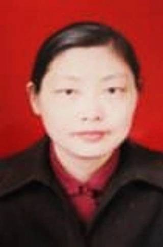 宋平 （武汉理工大学教授）