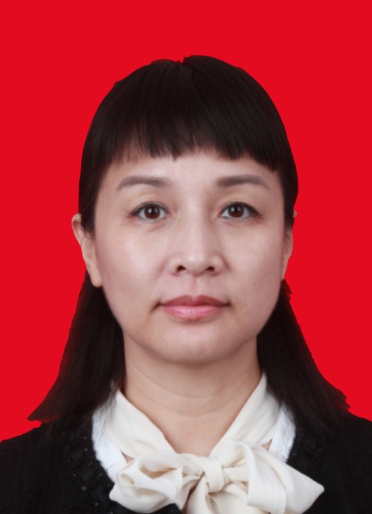 崔岚(中国石油天然气股份有限公司西气东输管道分公司规划计划处副处长,上海市第十五届人大代表)
