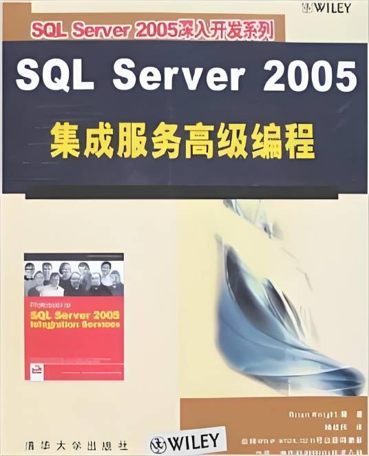SQL Server 2005 集成服务高级编程