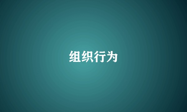 组织行为
