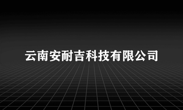 云南安耐吉科技有限公司