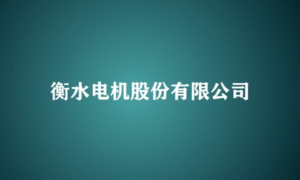 衡水电机股份有限公司