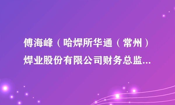 傅海峰（哈焊所华通（常州）焊业股份有限公司财务总监、首席合规官、总法律顾问）