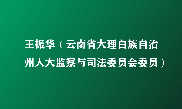 王振华（云南省大理白族自治州人大监察与司法委员会委员）