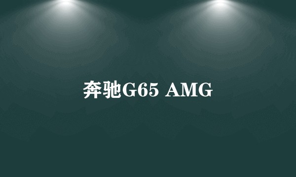 奔驰G65 AMG
