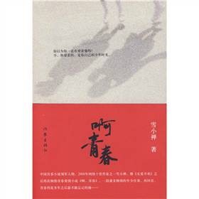 啊青春（2009年作家出版社出版的图书）