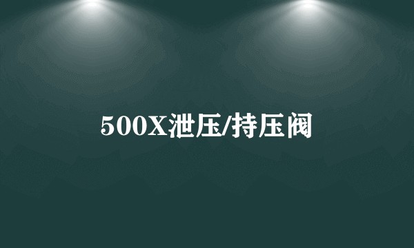 500X泄压/持压阀