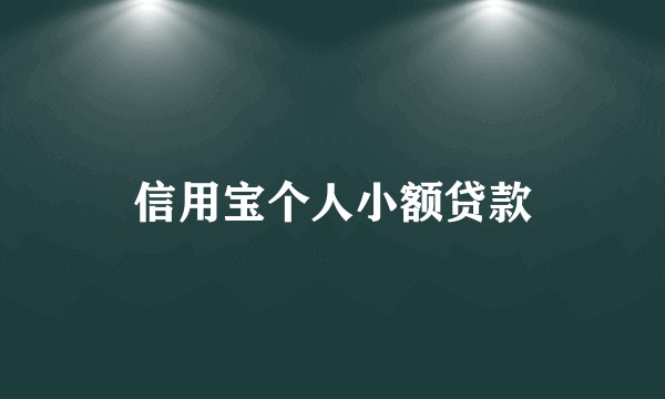 信用宝个人小额贷款
