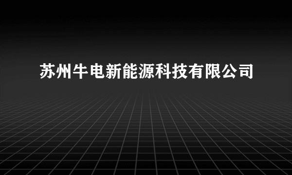 苏州牛电新能源科技有限公司