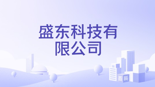 盛东科技有限公司