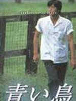 青鸟（日本1997年土井裕泰、竹之下宽次执导的剧情电视剧）