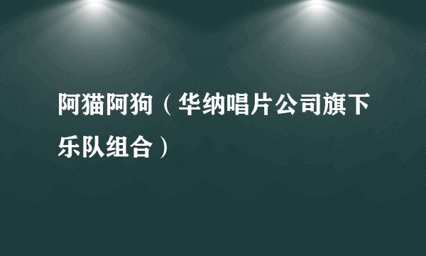 阿猫阿狗(华纳唱片公司旗下乐队组合)