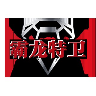 北京霸龙特卫安全顾问有限公司