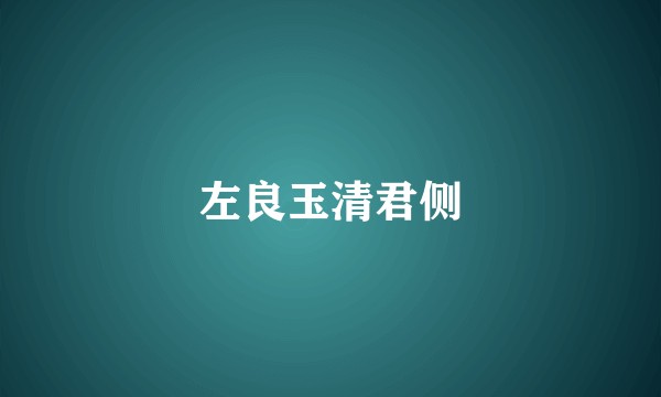 左良玉清君侧