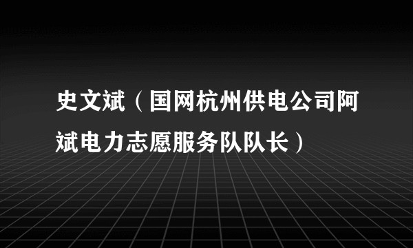史文斌（国网杭州供电公司阿斌电力志愿服务队队长）