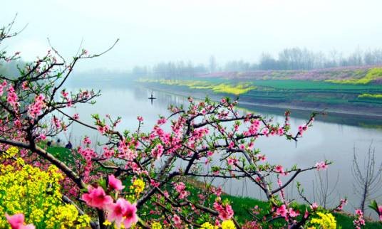 西华县桃花节