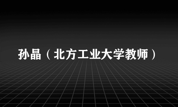 孙晶（北方工业大学教师）