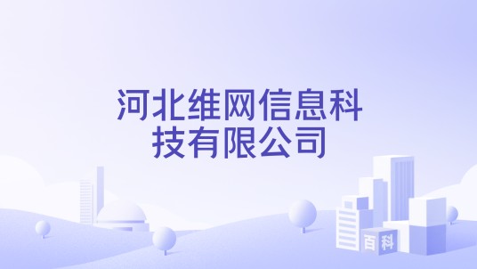 河北维网信息科技有限公司
