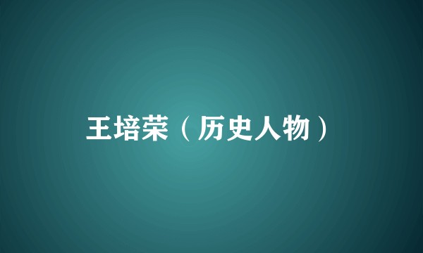 王培荣（历史人物）