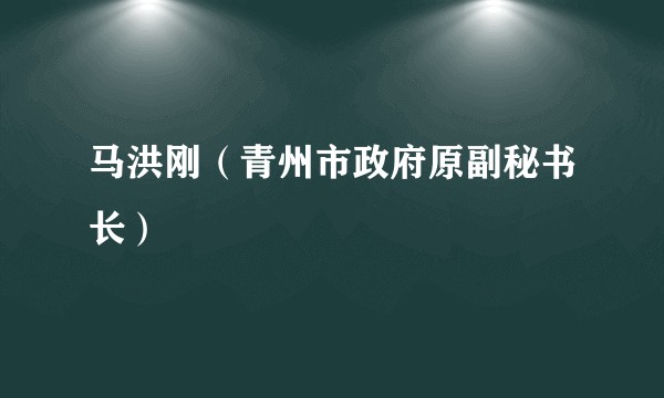 马洪刚（青州市政府原副秘书长）