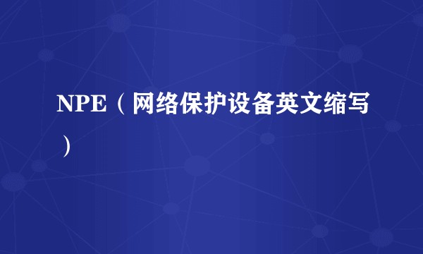 NPE(网络保护设备英文缩写)