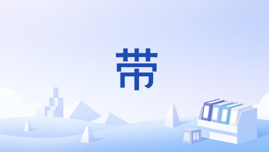 带（网络方言术语）