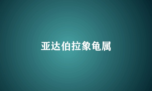亚达伯拉象龟属
