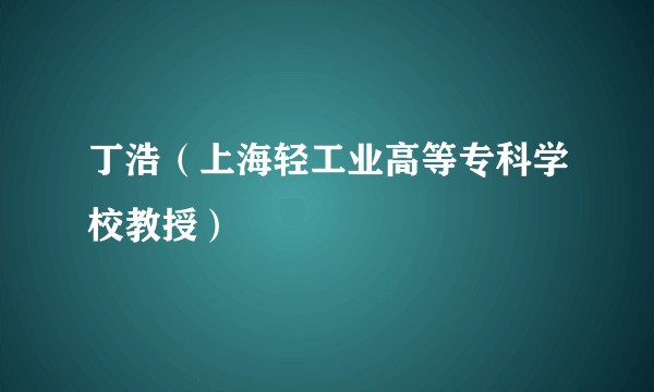 丁浩（上海轻工业高等专科学校教授）
