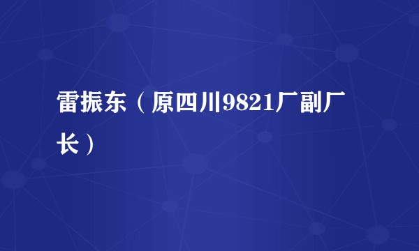 雷振东（原四川9821厂副厂长）