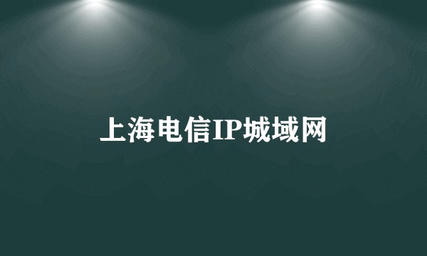 上海电信IP城域网
