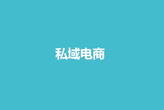 私域电商（汉语词汇）