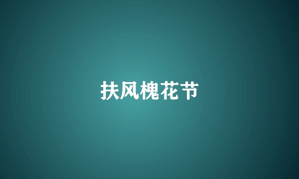 扶风槐花节