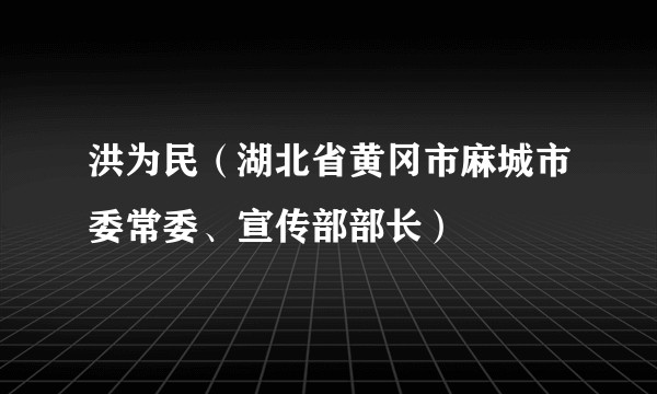 洪为民(湖北省黄冈市麻城市委常委、宣传部部长)