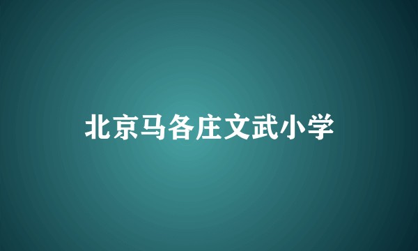北京马各庄文武小学