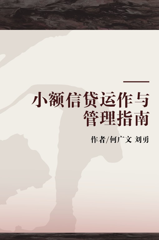 小额信贷运作与管理指南