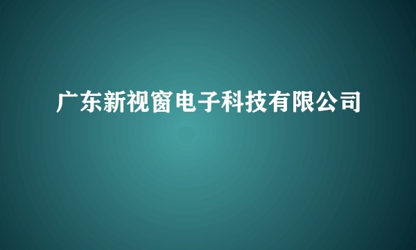 广东新视窗电子科技有限公司