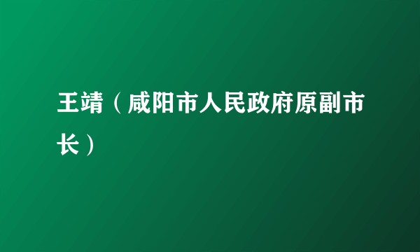 王靖（咸阳市人民政府原副市长）