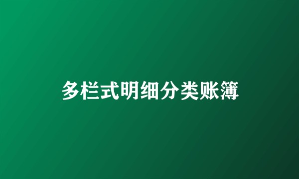 多栏式明细分类账簿