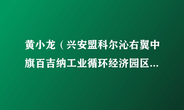 黄小龙(兴安盟科尔沁右翼中旗百吉纳工业循环经济园区管理委员会党工委委员、综合秘书股股长)