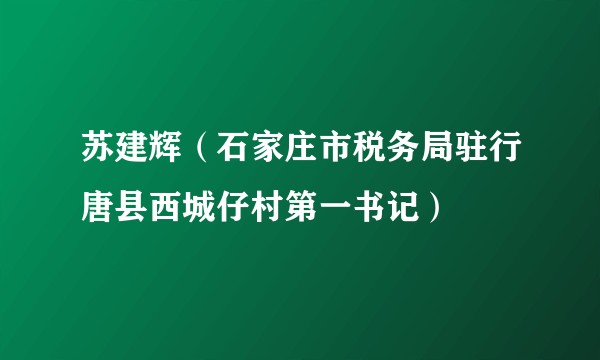 苏建辉（石家庄市税务局驻行唐县西城仔村第一书记）