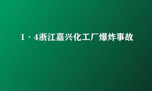 1·4浙江嘉兴化工厂爆炸事故