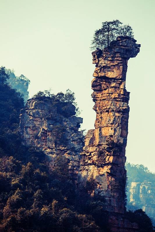 草泥马峰
