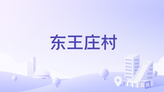 东王庄村（河南省新蔡县余店镇下辖村）