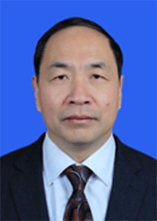陈元龙（浙江省丽水市莲都区人大常委会原主任）