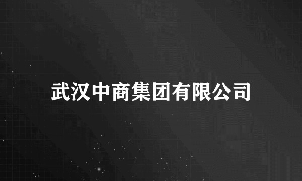 武汉中商集团有限公司