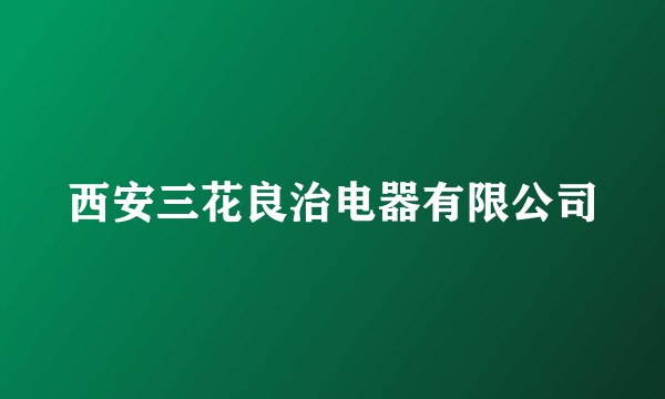 西安三花良治电器有限公司