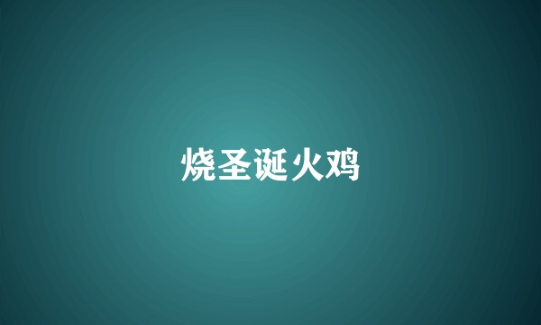 烧圣诞火鸡