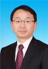 王振（湖北省武汉市江夏区委副书记、区人民政府党组书记、区长）